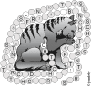 chatAlors.gif (41126 octets)