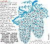 grappe-04.gif (17125 octets)