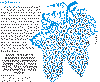 grappe-05.gif (18888 octets)