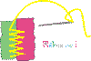 rebus01.gif (3347 octets)
